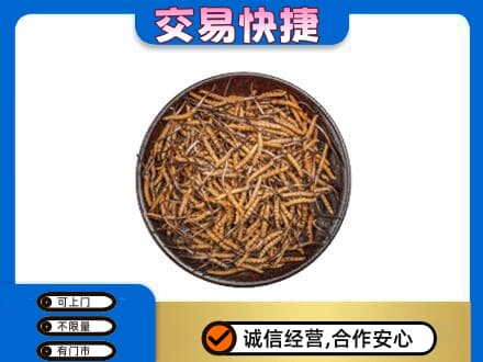 武陵区高价回收散虫草
